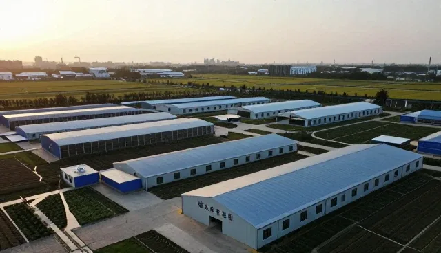 线上店铺代运营的性能表现与适用场景分析